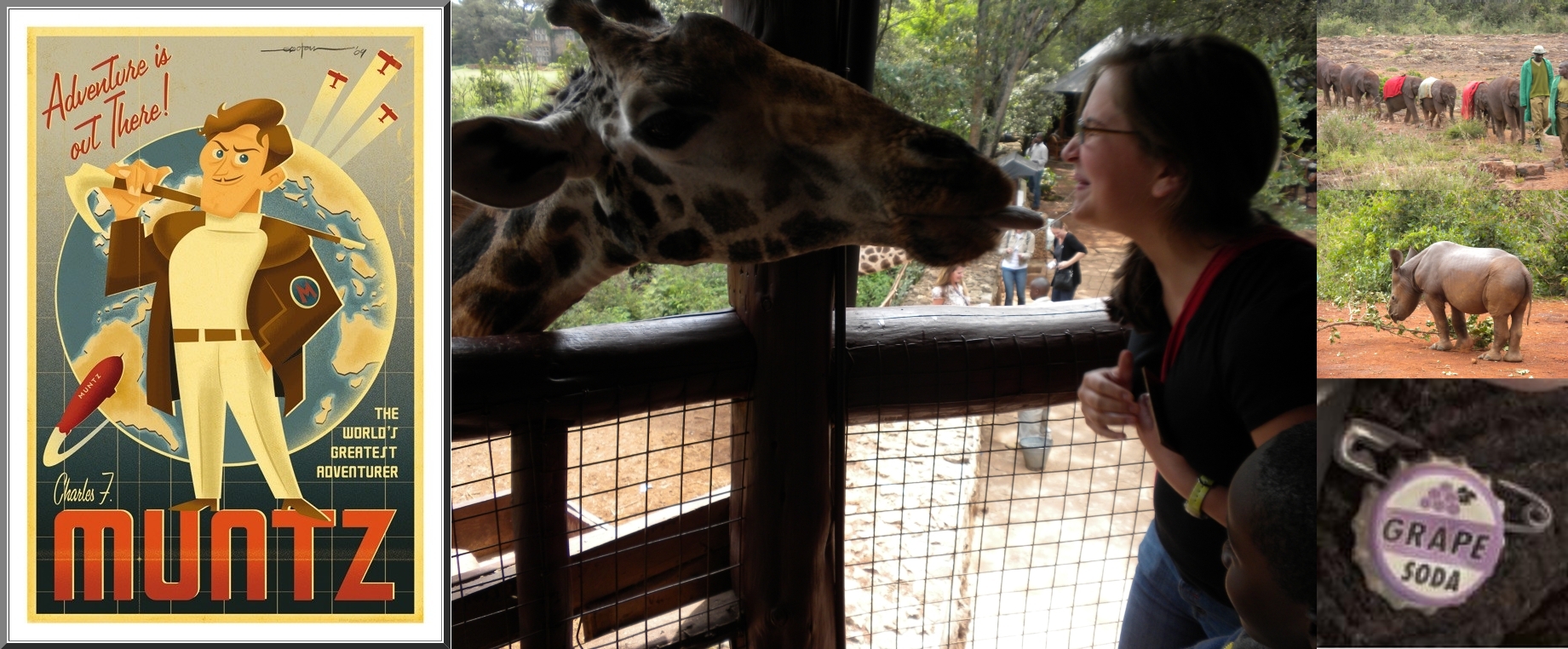 giraffe kiss